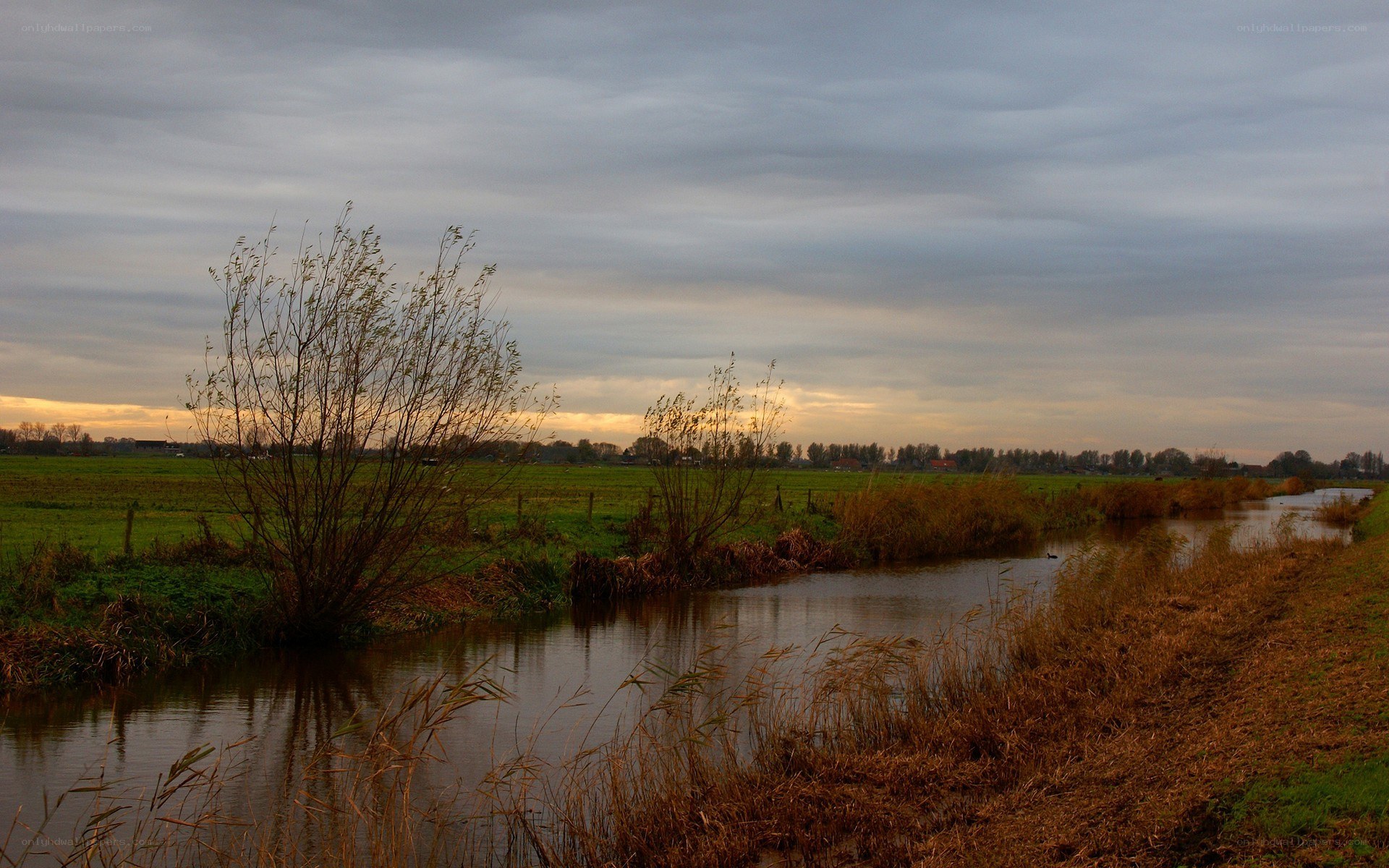 River at dusk in a rural landscape