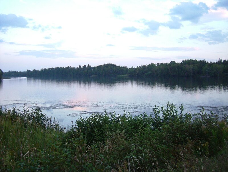 River at dusk with forest