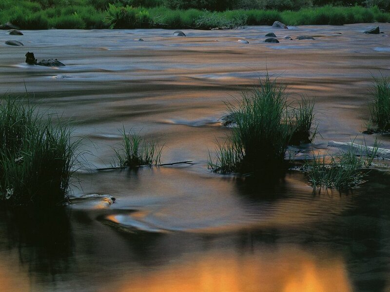 River at dusk with grass