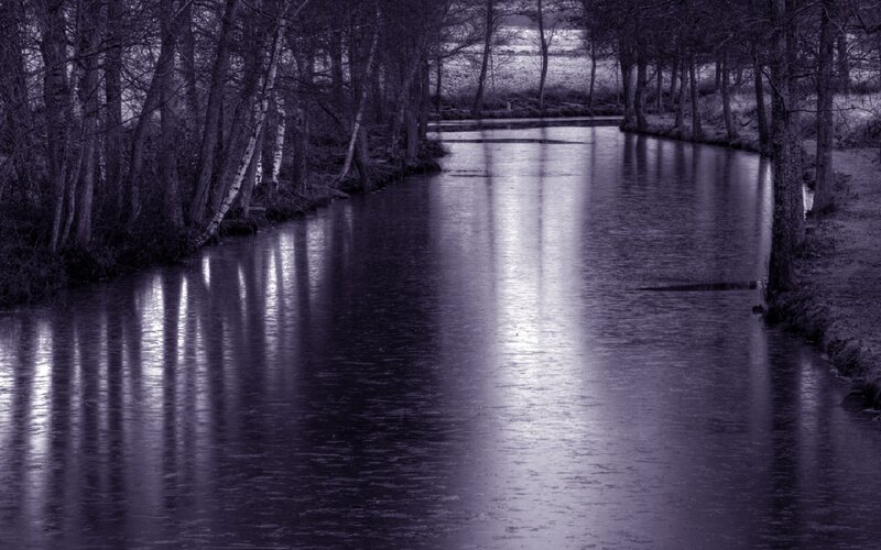 River at dusk with tree reflections