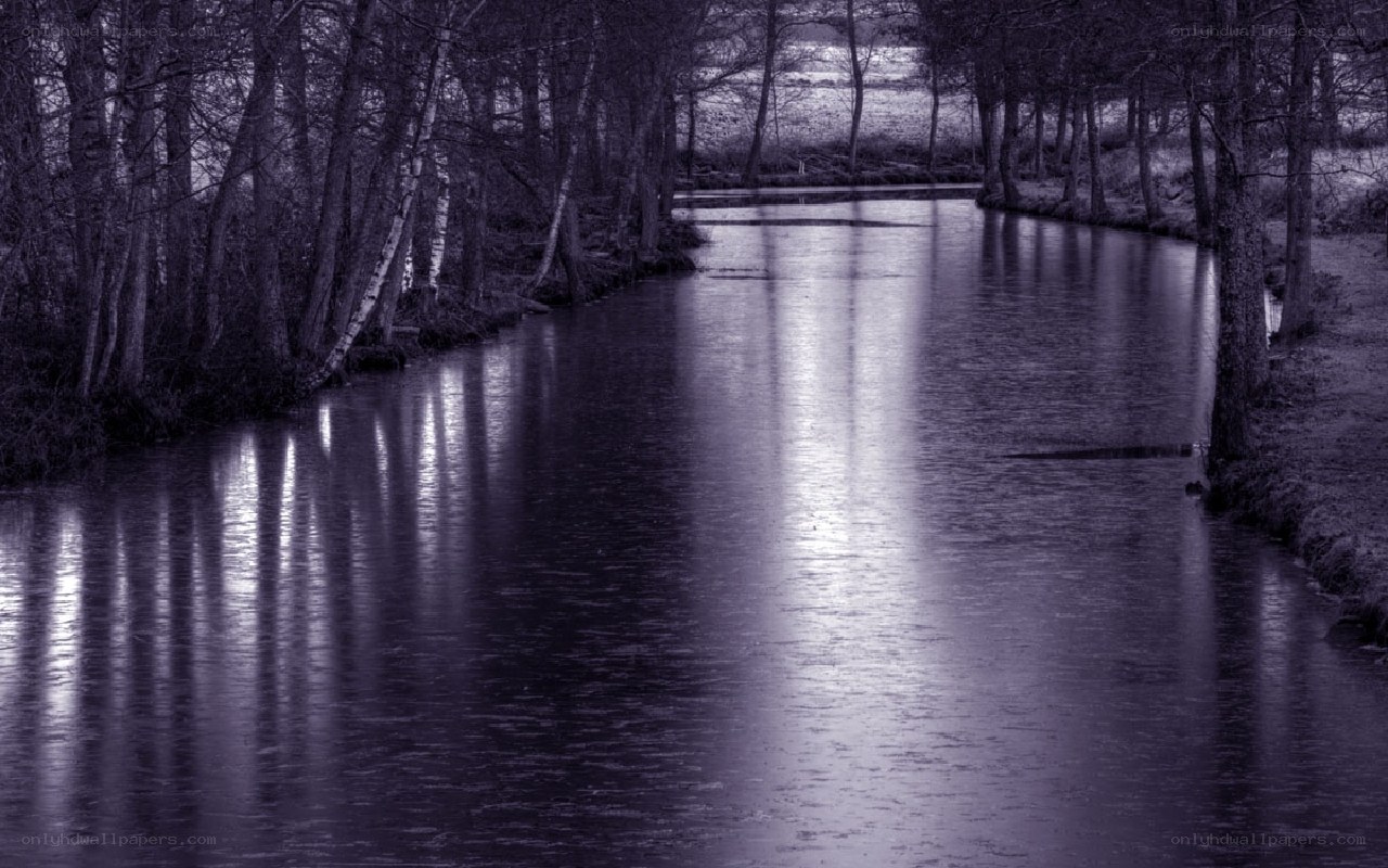 River at dusk with tree reflections