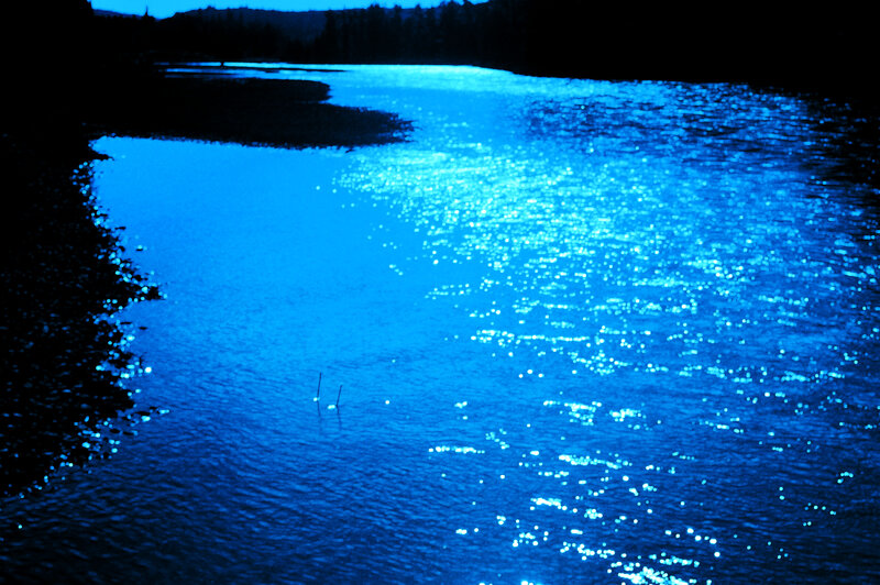 River at Night — Blue, Serene, Photograph, Trees