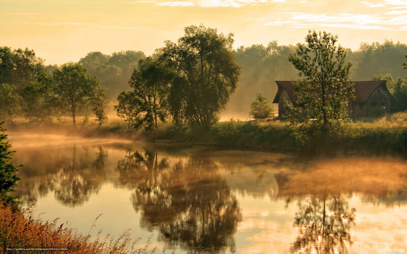 River at Sunrise — Gold, Serene