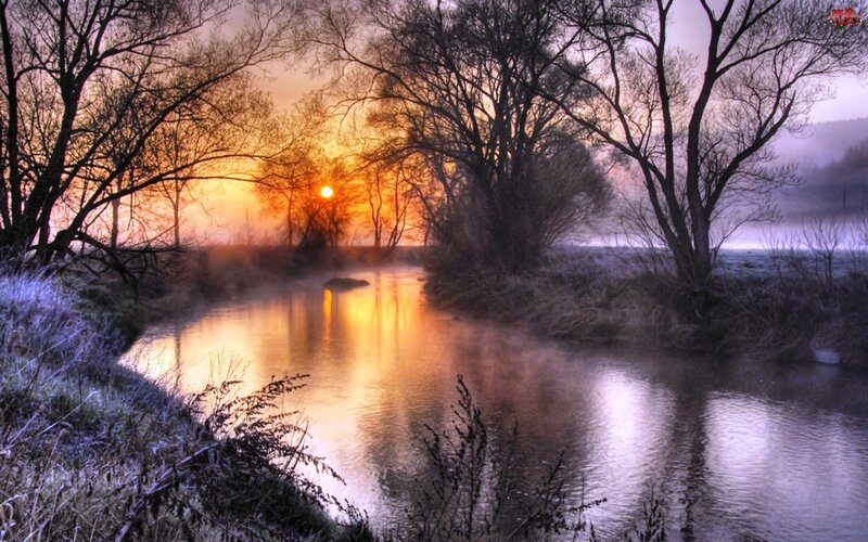 River at Sunrise — Orange, Serene, Photograph, Sun, Trees, Fog