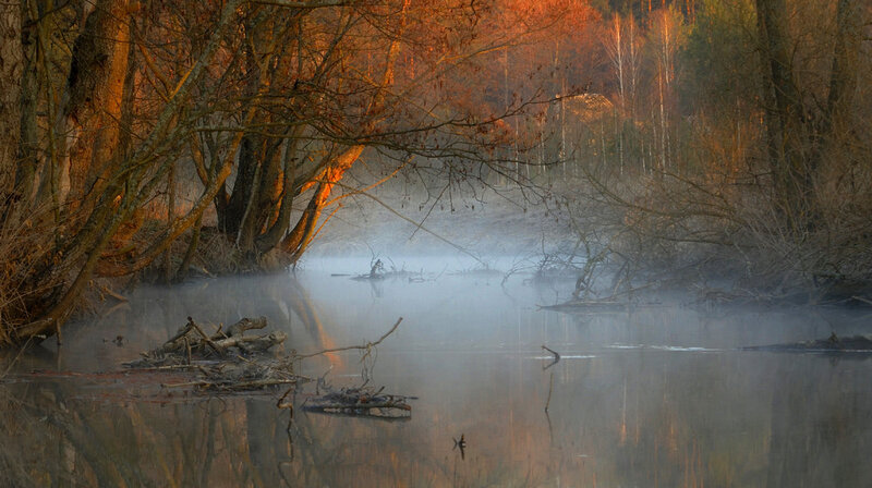 River at Sunrise — Orange, Serene, Photograph, Trees