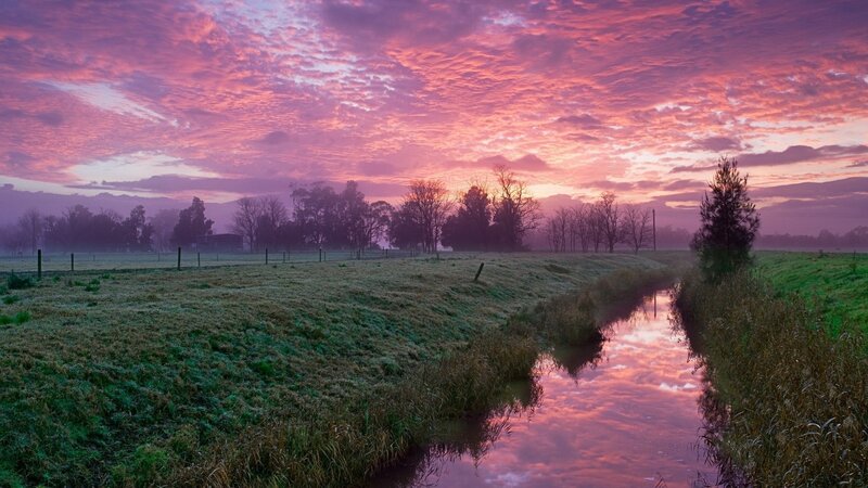 River at Sunrise — Pink, Serene, Photograph, Sky, Trees, Fog