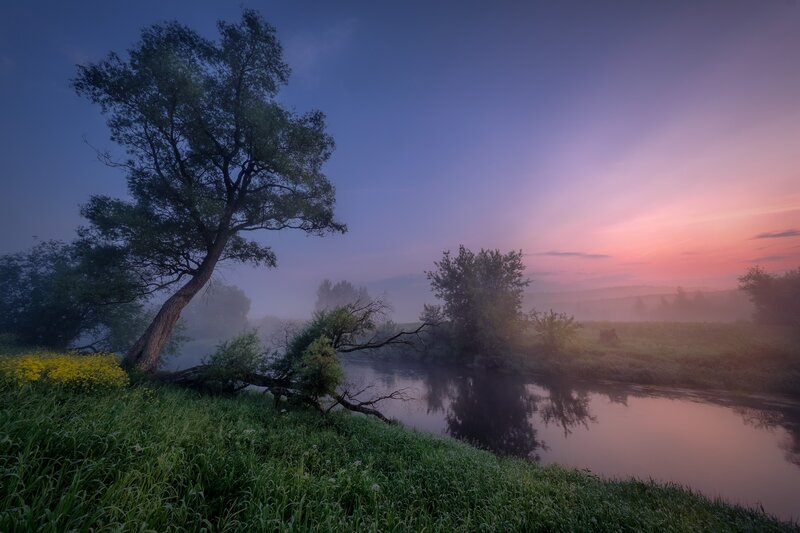 River at Sunrise — Purple, Serene, Photograph, Tree