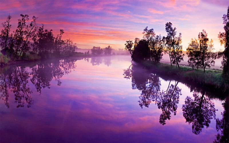 River at Sunrise — Purple, Serene, Photograph, Trees, Fog