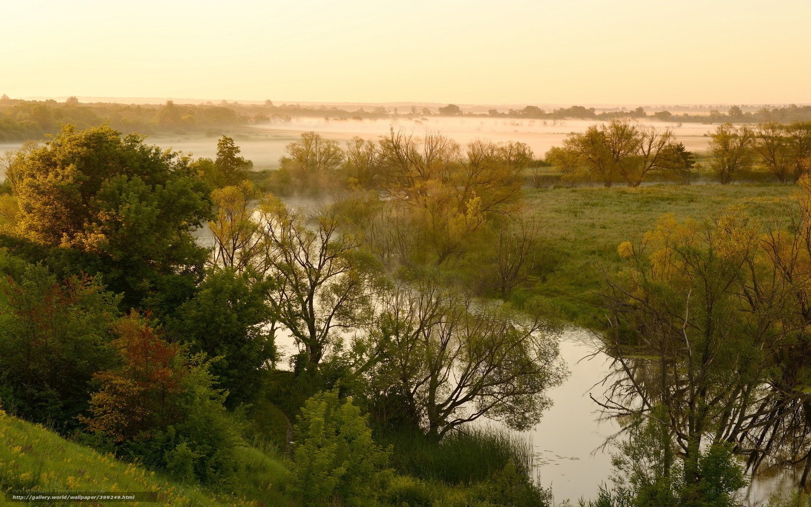 River at sunrise with mist