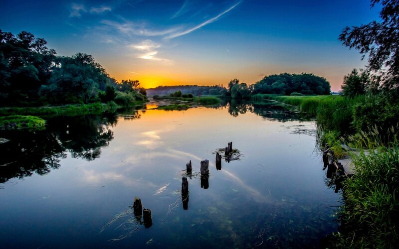 River at Sunset — Blue, Serene, Photograph, Trees, Sky, Stumps