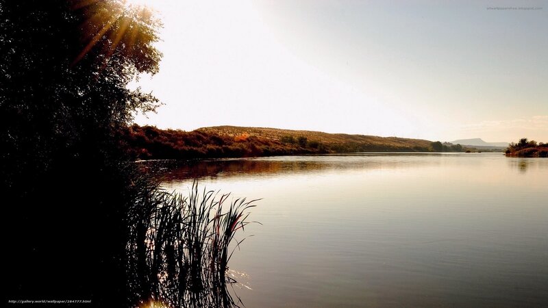 River at Sunset — Brown, Serene, Photograph, Trees, Hills, Reeds