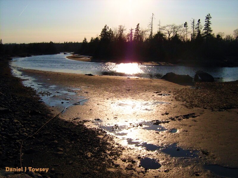 River at Sunset — Brown, Serene, Photograph, Trees, Sand