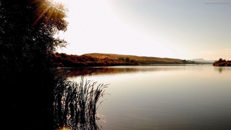 River at Sunset — Brown, Serene, Photograph, Trees