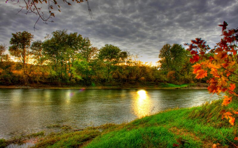 River at Sunset — Green, Serene, Photograph, Trees, Leaves