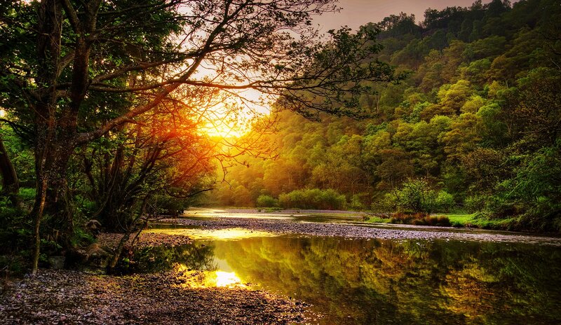 River at Sunset — Green, Serene, Photograph, Trees, Sun