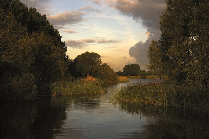 River at Sunset — Green, Serene, Photograph, Trees