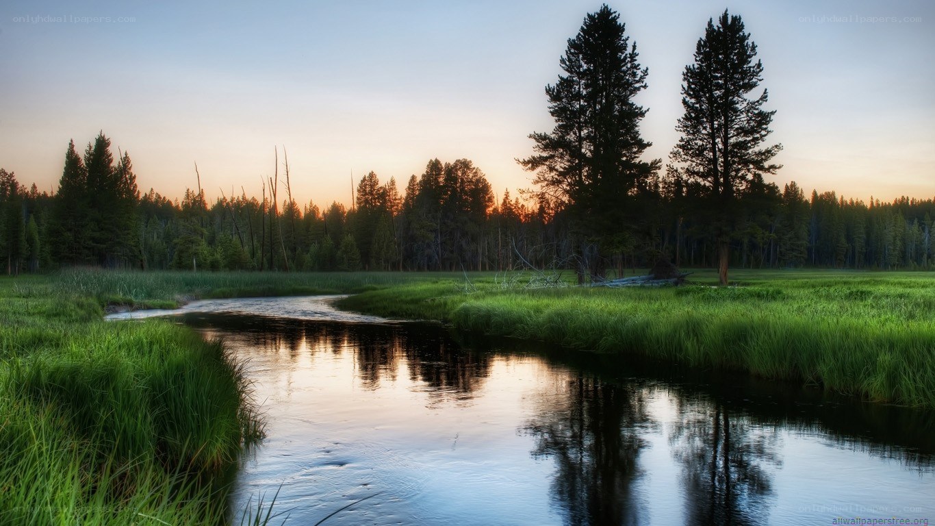 River at sunset in a forest
