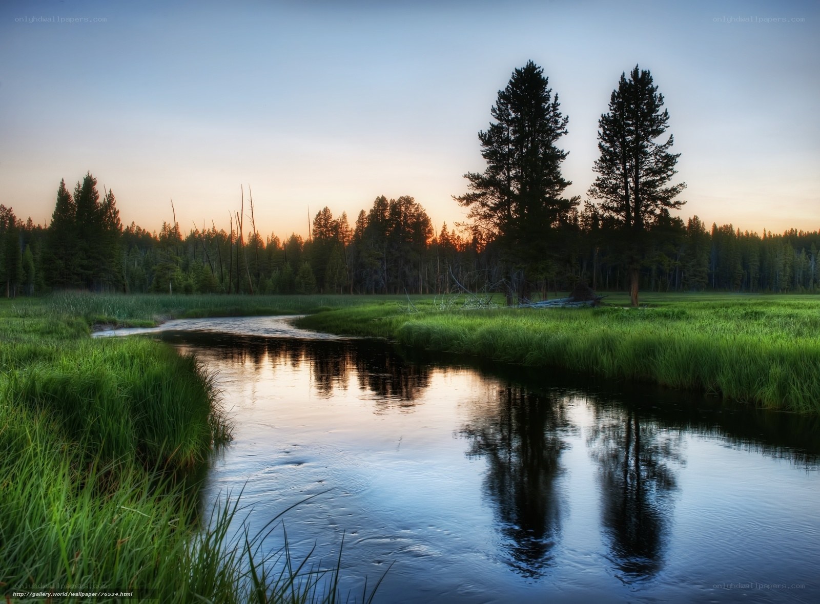 River at sunset in a forest