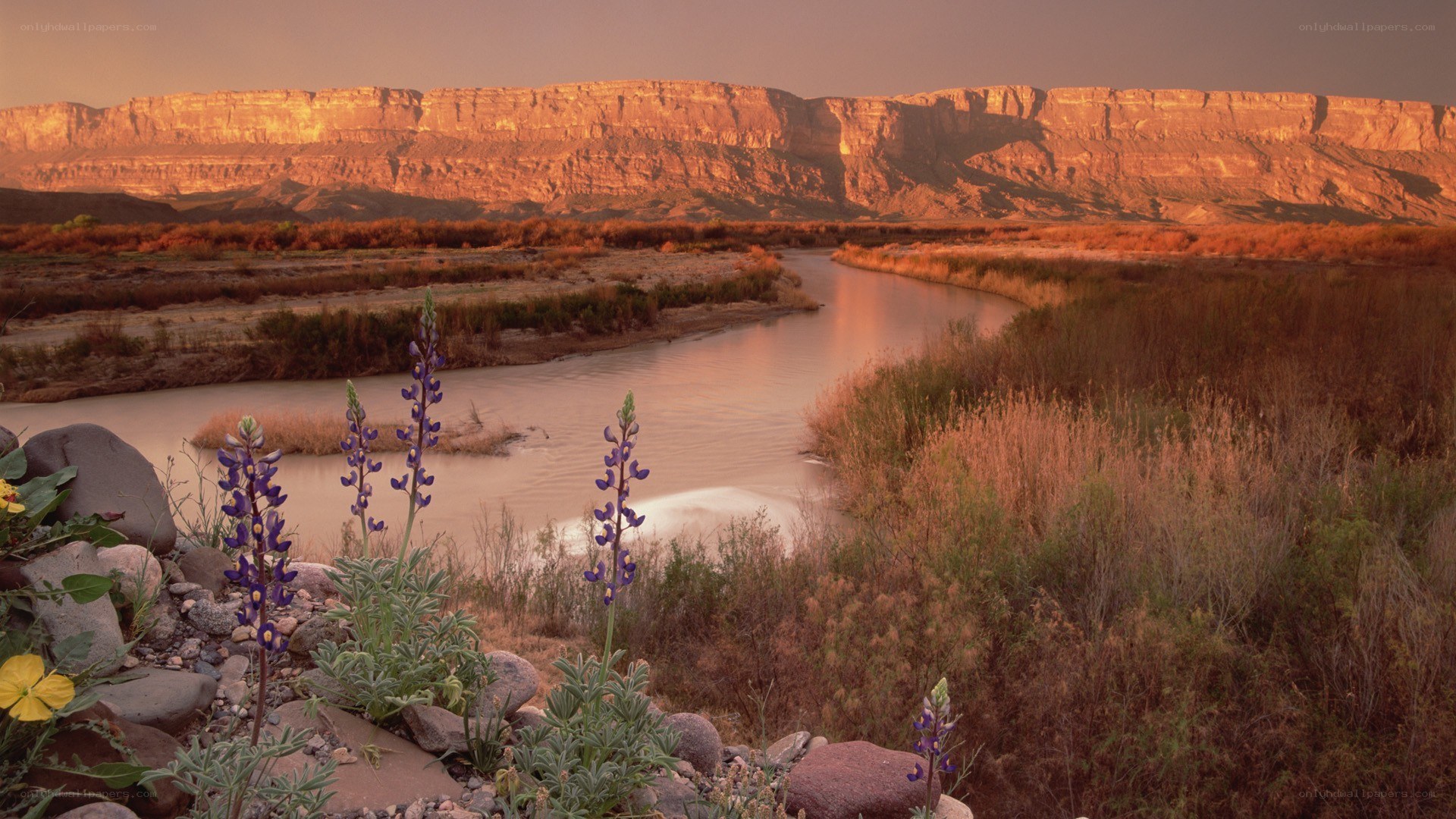 river at sunset in canyon