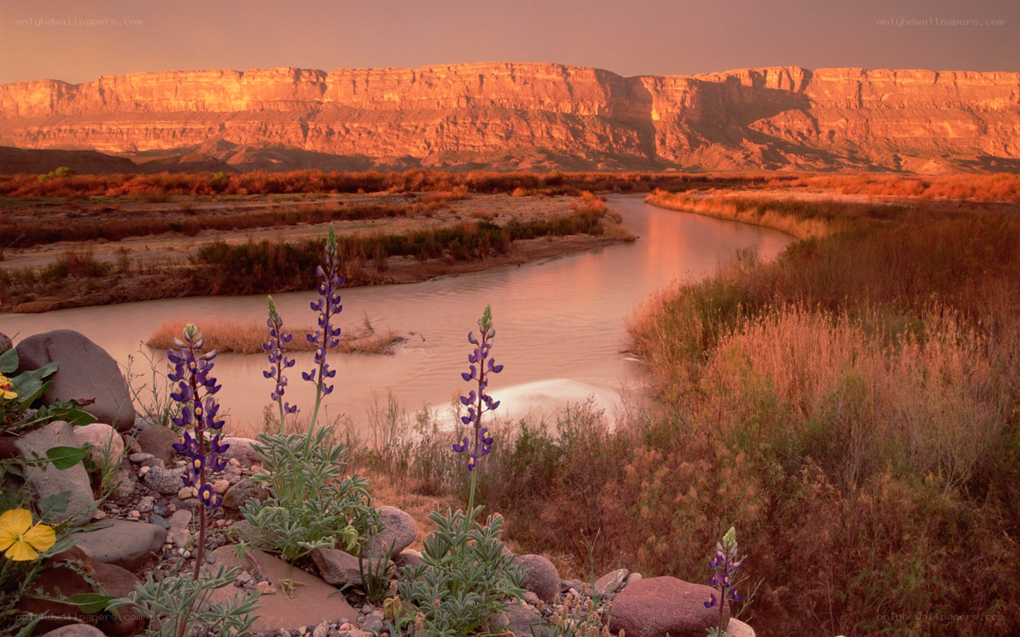 river at sunset in canyon