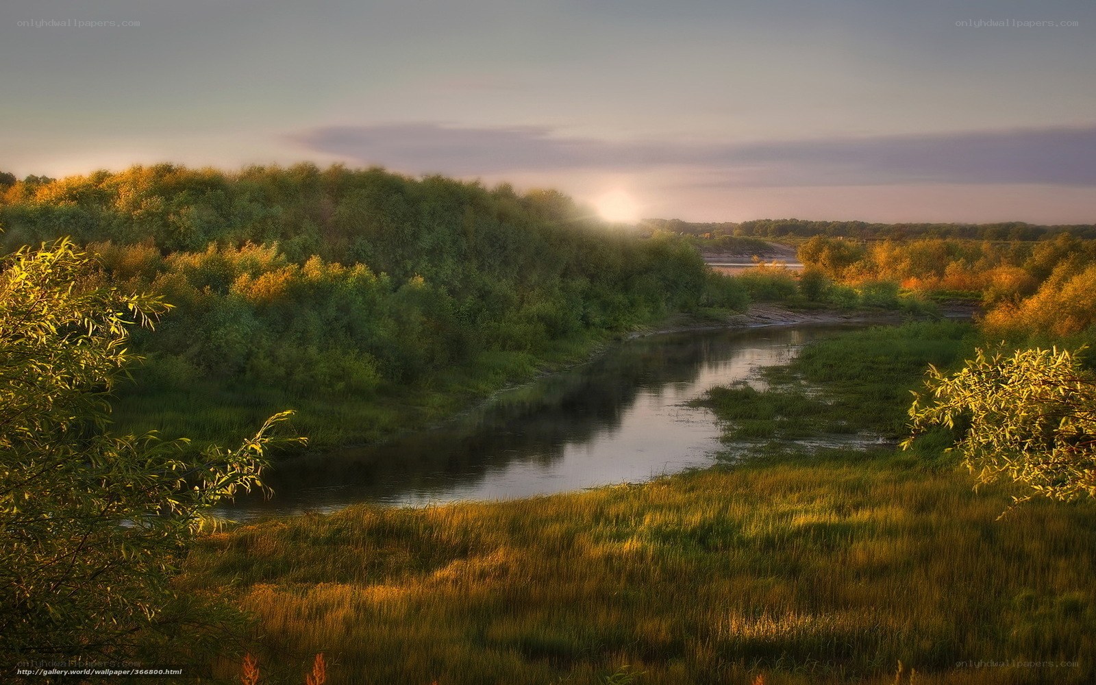 River at sunset in forest