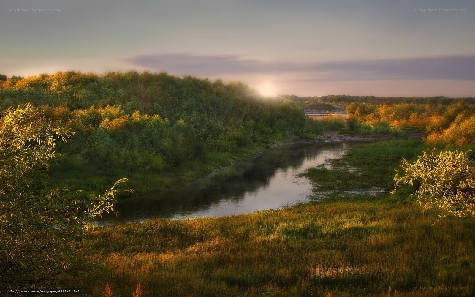River at sunset in forest