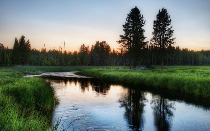 River at sunset in forest