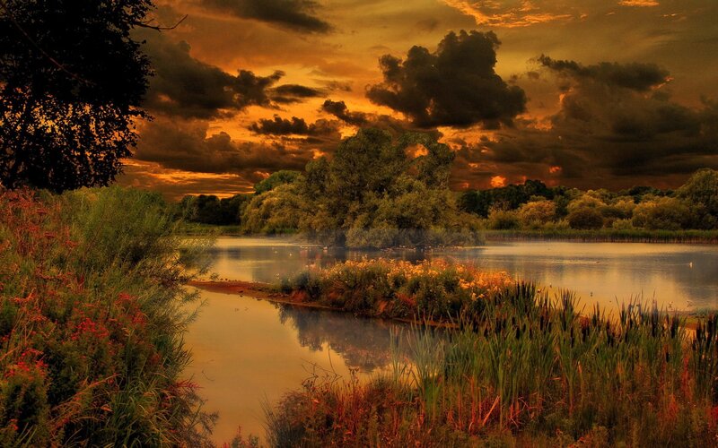 River at Sunset — Orange, Dramatic, Photograph, Sky, Trees, Plants