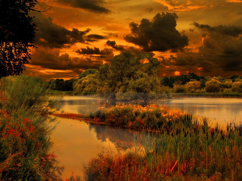 River at Sunset — Orange, Dramatic, Photograph, Trees, Clouds, Flowers