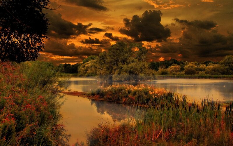 River at Sunset — Orange, Dramatic, Photograph, Trees, Clouds, Plants