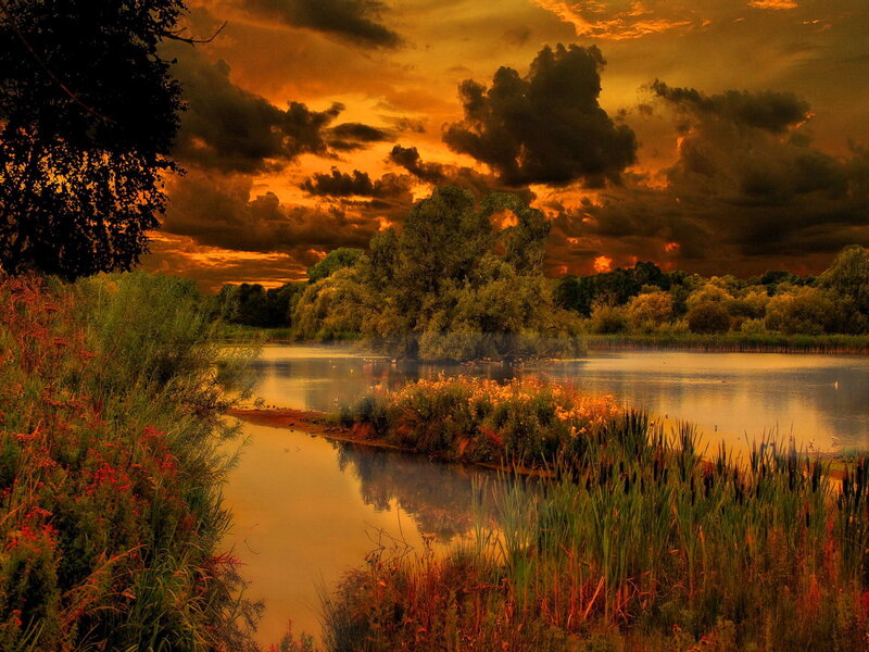 River at Sunset — Orange, Dramatic, Photograph, Trees, Clouds, Reeds