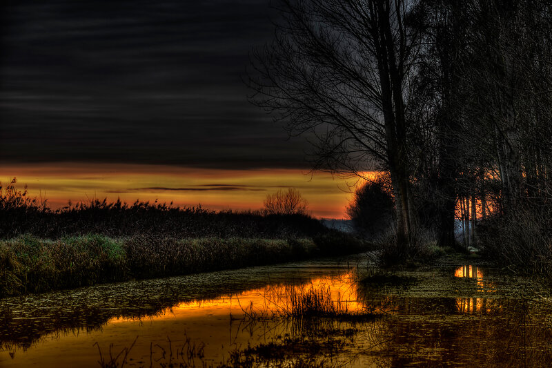 River at Sunset — Orange, Dramatic, Photograph, Trees, Sky, Reeds