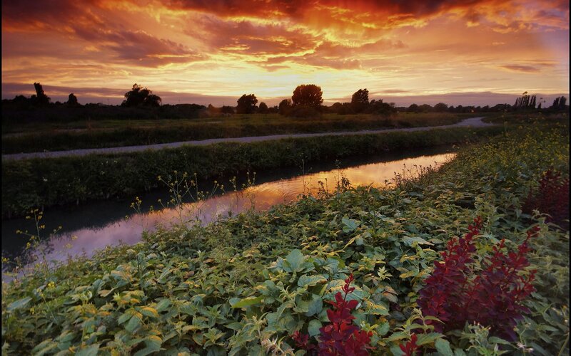 River at Sunset — Orange, Serene, Photograph, Sky, Plants
