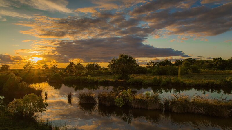 River at Sunset — Orange, Serene, Photograph, Sky, Trees, Reflection