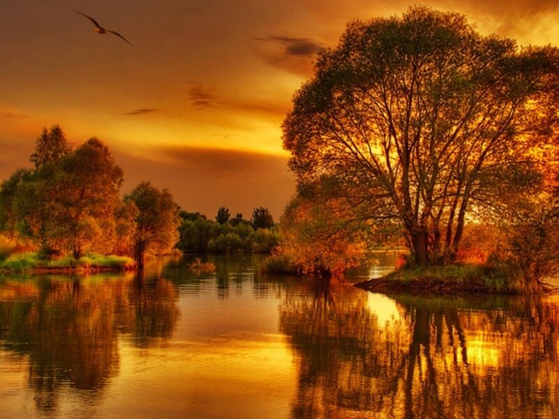 River at Sunset — Orange, Serene, Photograph, Tree