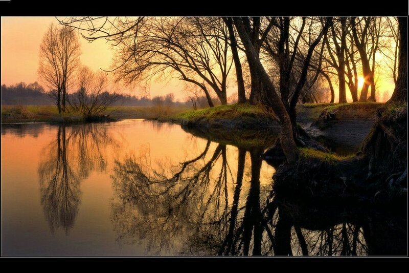 River at Sunset — Orange, Serene, Photograph, Trees, Reflection, Sky, Brown
