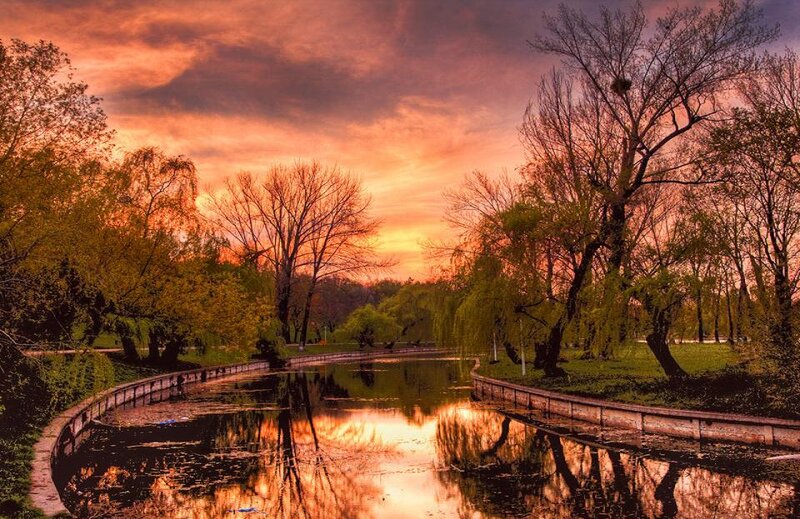River at Sunset — Orange, Serene, Photograph, Trees, Sky