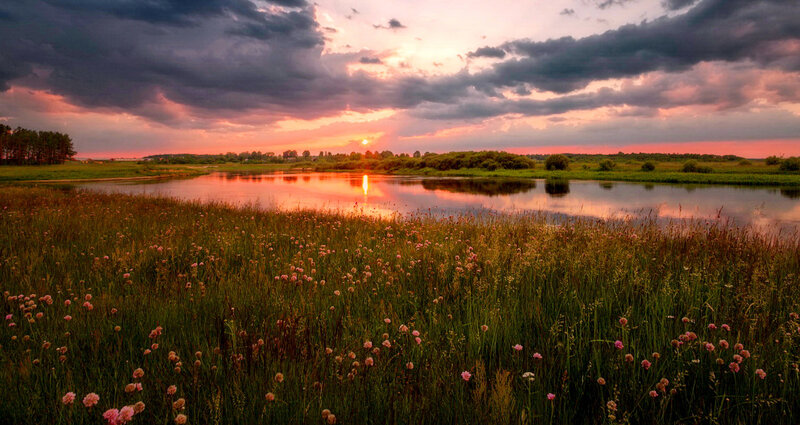 River at Sunset — Pink, Dramatic, Photograph, Flowers