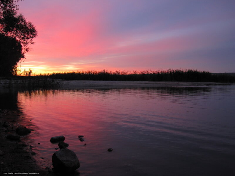 River at Sunset — Pink, Serene, Photograph, Trees, Rocks