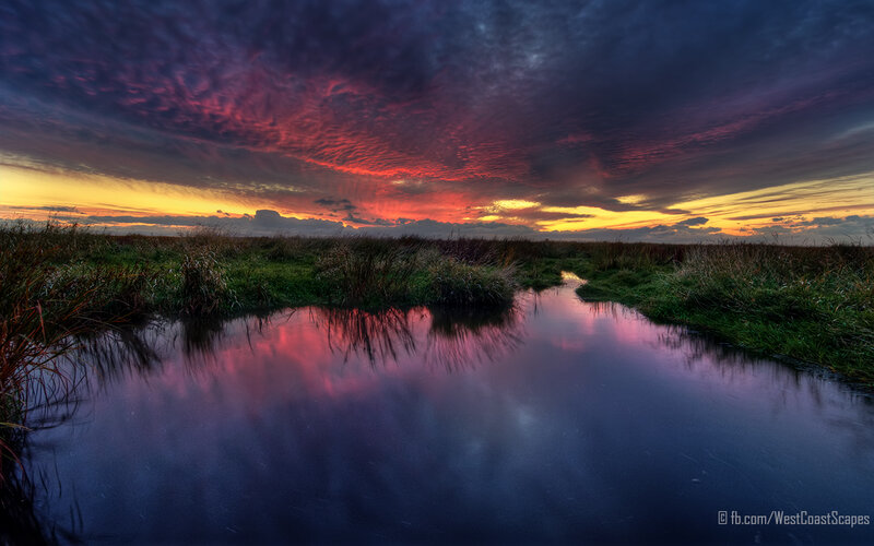 River at Sunset — Purple, Dramatic, Photograph, Sky, Grass