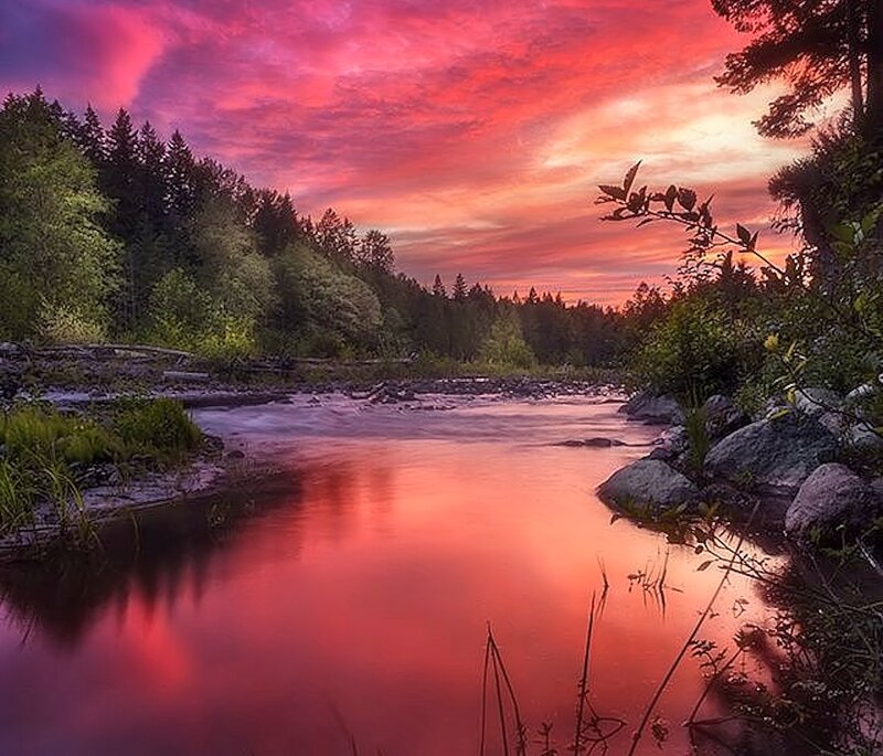 River at Sunset — Red, Dramatic, Photograph, Forest