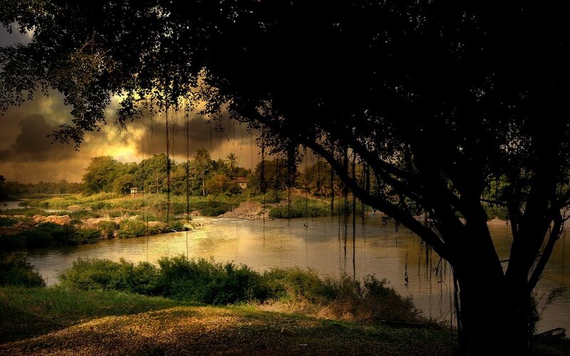 River at sunset with banyan tree
