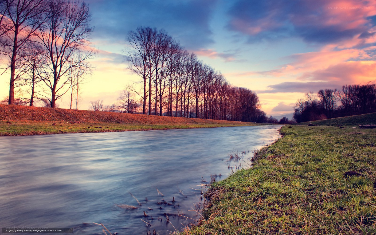 River at sunset with bare trees