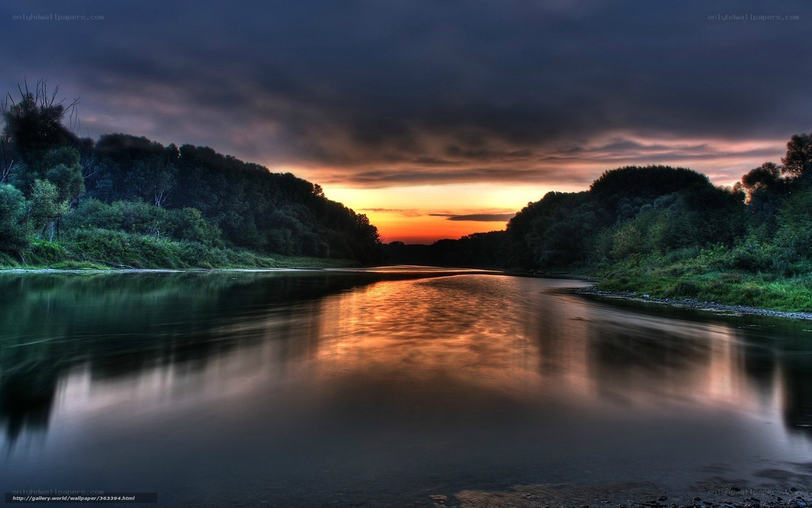 River at sunset with forest