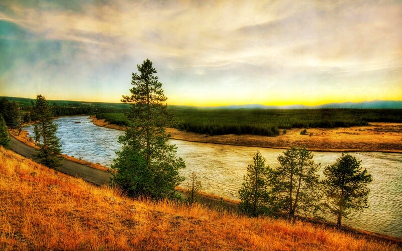 River at sunset with pine trees