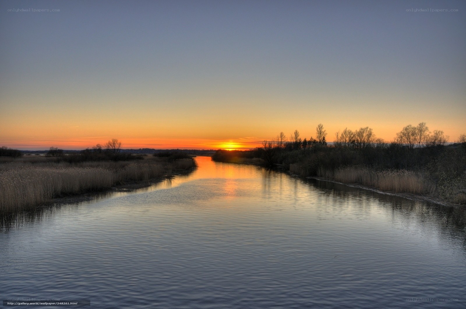 River at sunset with reeds