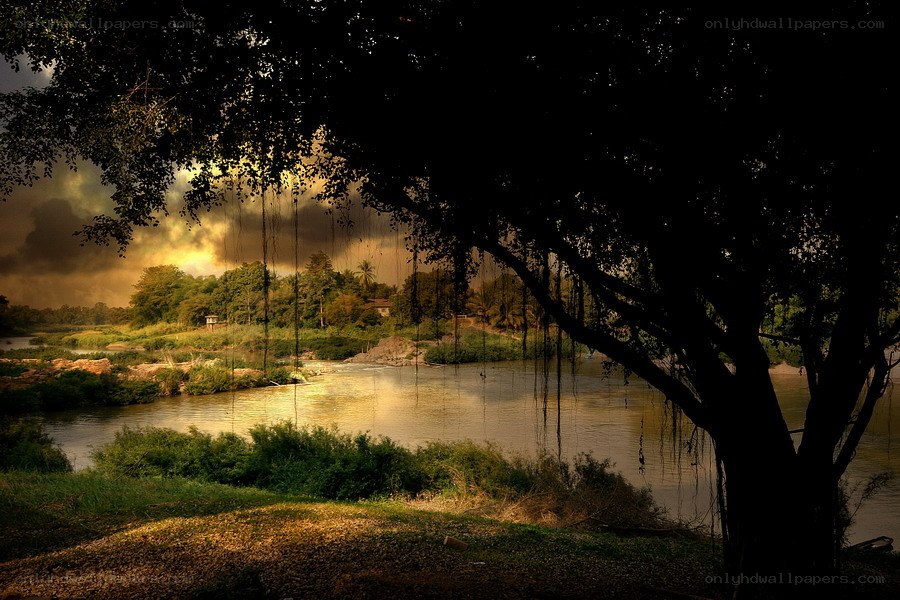 River at sunset with silhouetted tree