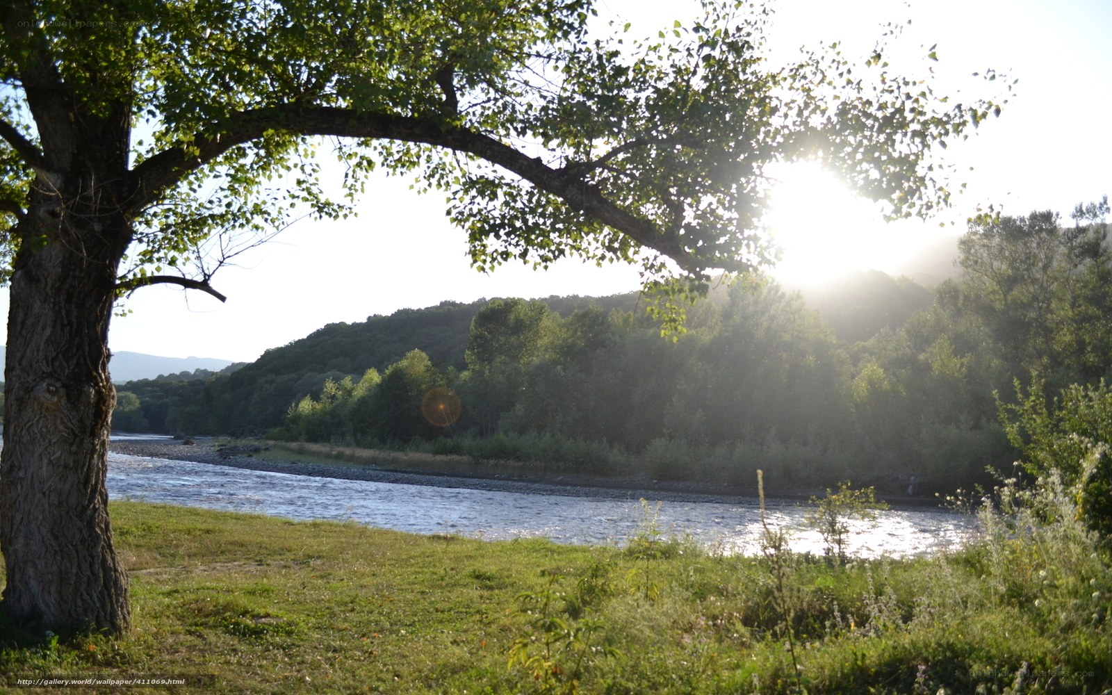 River at sunset with tree