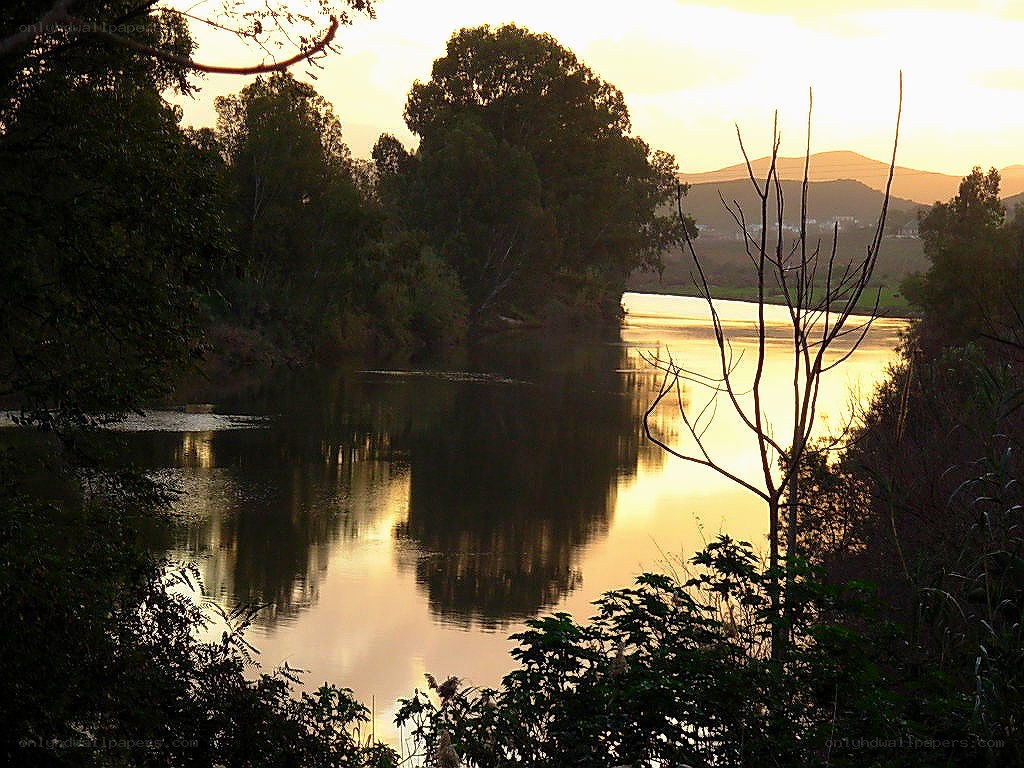 River at sunset with trees