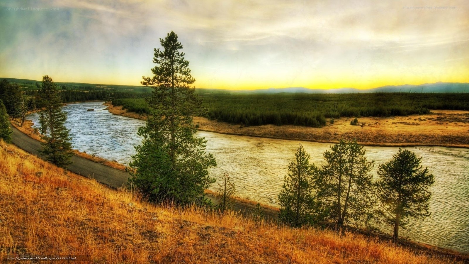 river at sunset with trees